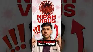 Nipah Virus ALERT: How to Stay Safe?
