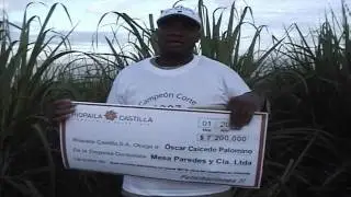Corteros de ca&ntilde;a. Premio a los mejores.