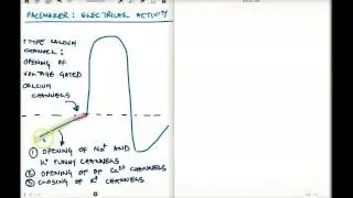 PACEMAKER ACTIVITY PART 2