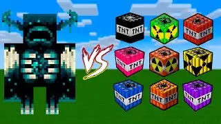 Warden vs 30 Different TNTs! Will Warden Survive?