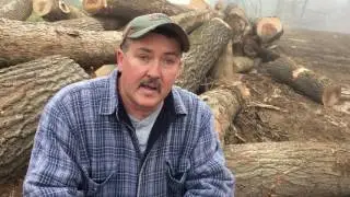 Logging Lower Burrell