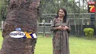 ROJGAR | Fiber Marble Art, Mushroom Seed & Mango Farming, Startup Planning | PrameyaNews7