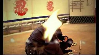 Iga Ryu Ninja
