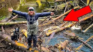 Finding LOG JAM TREASURES, Fishing Small CREEK! Catch N' COOK CREEKSIDE!!