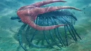 Маррелла Marrella splendens (часть 2)
