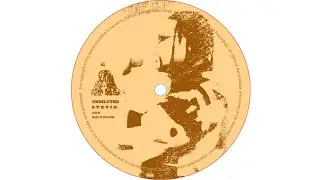 Undiluted (Brockie & Ed Solo) ft Stevie Hyper D - S-T-E-V-I-E (DCLP001/DCCD001)