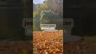 Polish vocabulary | autumn #learnpolish #shorts