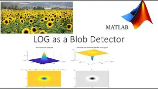 LOG for Blob Detection