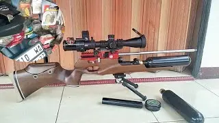 Black Ant ufgred di Bengkel motor