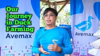 (Full video) Successful Story of Rud&Tes Duck Farm [this video credited to avemax stories]