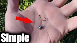 Fishing With the Cheapest and Easiest Fishing Rig Ever! (Realistic Rig)