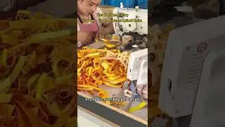 A professional pet supplies manufacturing factory for 16 years. Support OEM#factory #pet #wholesale