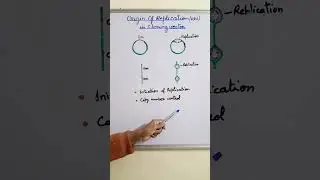Origin of Replication in Cloning Vector || ori in vector #neet Biology