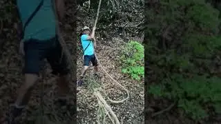 Tarzan a fine carriera....