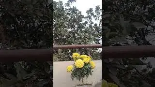 Subscribe and like#swetagupta640#good evening#meri live mein sabhi ka swagat hai#💐❤️🙏