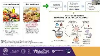 Diagnóstico de alergia alimentaria mediada por IgE. De pruebas clásicas a la medicina de precisión