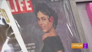 'Art of The Ages': Preserving Black Art and History