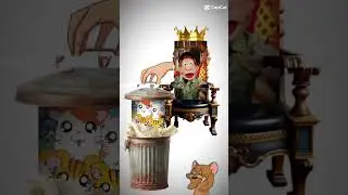cocoric&oacute; ganhou!!! 🔥🔥🔥#hamtaro #cocorico #edit #trend #phonk #shorts