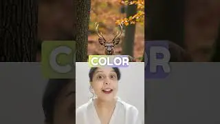 How Deer Survive in Forests 🌳 Adaptation in Deer Explained #DeerAdaptation #forestanimals #cbse