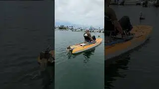 Spend more time FISHING with Bixpy!