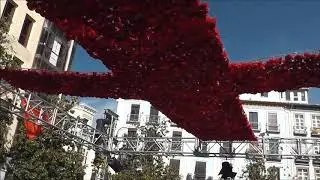 Cruces de Mayo en Granada