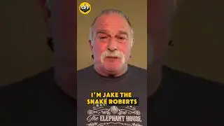 Jake Roberts Has Incredible Wrestling Stories To Share