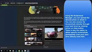 Where is The Steam Screenshot Folder in Steam? How To Access Steam Screenshot Folder