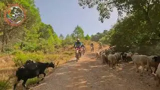 Darren's group  @ Dirt Bike Holidays Spain 🇪🇸 | Trail Ride with Scenic Views