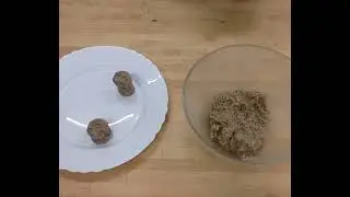 Vianočné hríbiky
