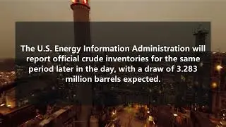 WTI Crude Oil Futures (February): OPEC+ decided to maintain the production guidance