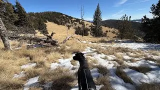Hiking the thirty nine mile mountain traverse in January 2026