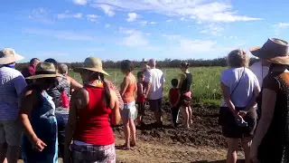 SAY HAY CERTIFIED ORGANIC FARMS/CAPAY VALLEY AREA 2/2