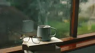 91 | Free Stock Footage | Calm & Cozy Rain 4k Video | No copyright