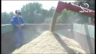 EU Agricultural Policy: Securing the farmer's future