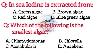 Algae || Algae important question's practice || Most important mcq's of Algae for neet #botany #cee