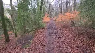 RIPPONDEN WOOD PATH VISUAL 