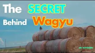 I Visited a Wagyu Beef farm and Learned ALL their SECRETS