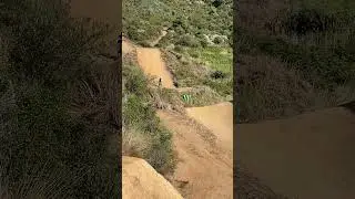 Could have gone WAY better! #shorts #mtb #crazy #insane #crash #wild #amazing #fyp #viral