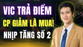 VIC Trả Điểm: Nhiều Cổ Phiếu Rung Lắc Mở Ra Cơ Hội Mua Đẹp