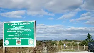 Aripeka Sandhills Preserve, Pasco County, Florida