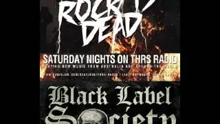 Zakk Wylde interview.
