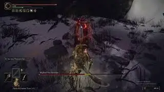 Blighted Nox Ancestor Elden Ring Convergence Mod Alpha Boss Kill