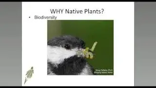 Monarch Gardens and Community Action