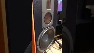 Thicc Swan Bassgasm...