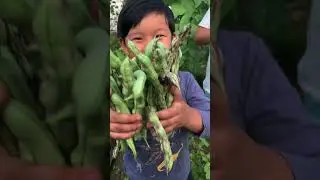 Harvest time! #harvest #organic #organicvegetables #fun#gardeing #freshvegetables #austria