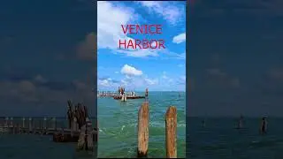 MUST SEE - VENICE BEAUTY