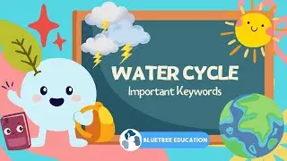 Primary Science PSLE Revision Guide EP 31 | Water Cycle | Important Keywords 💧🌬️