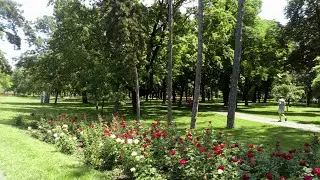 Parcul Central 
