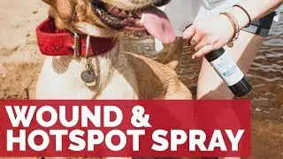 Legendary Canine Wound and Hotspot Spray