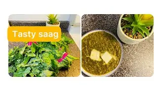 I bought saag from superstore as Rapini| Saag in Canada | Rapini Recipe | @EatandGreetCanada
